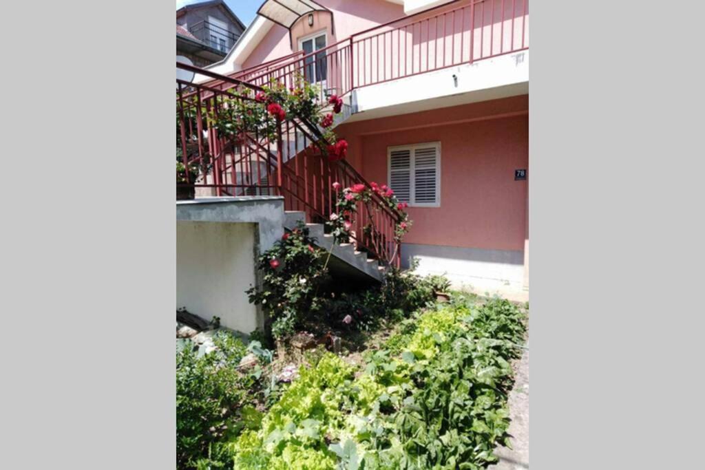 Apartman Danica Herceg Novi Eksteriør bilde